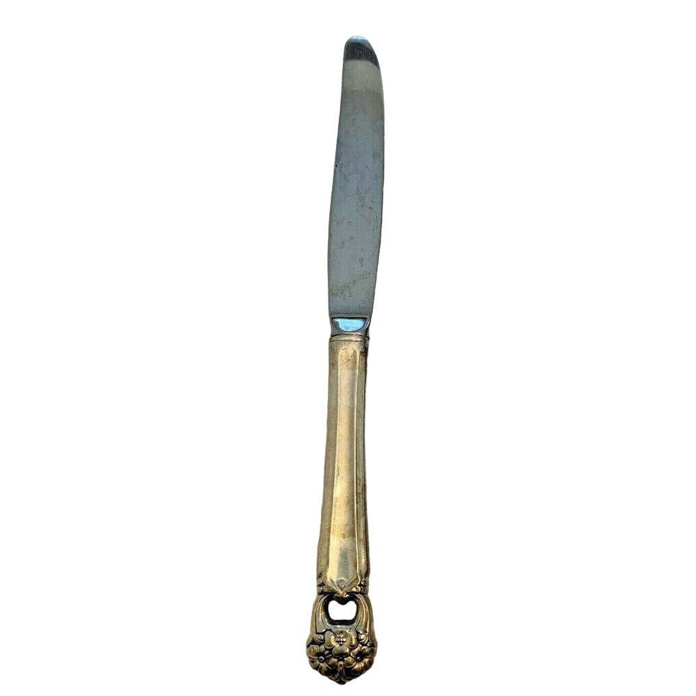 Rogers Eternally Yours 9.5" Modern Hollow Table Knife Floral Pierced Design